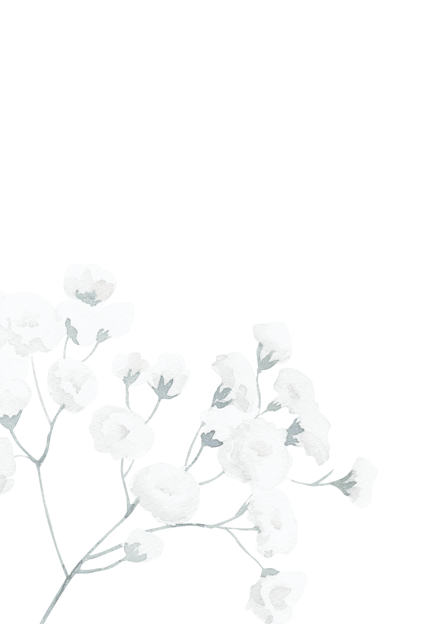 
  Lluvia de flores