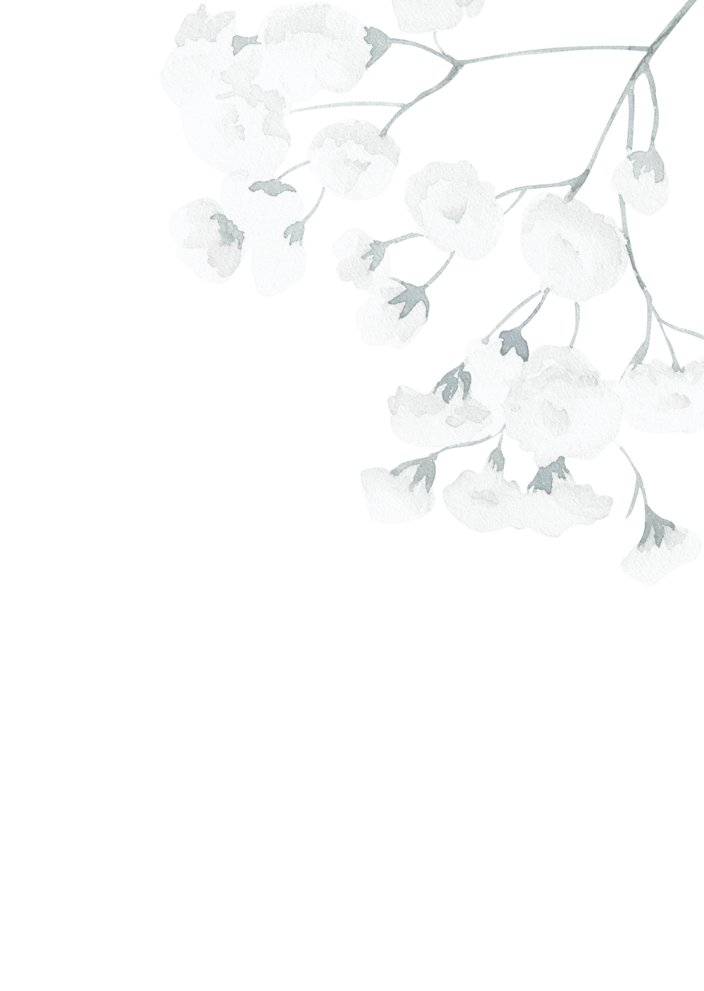 Llucia de flores